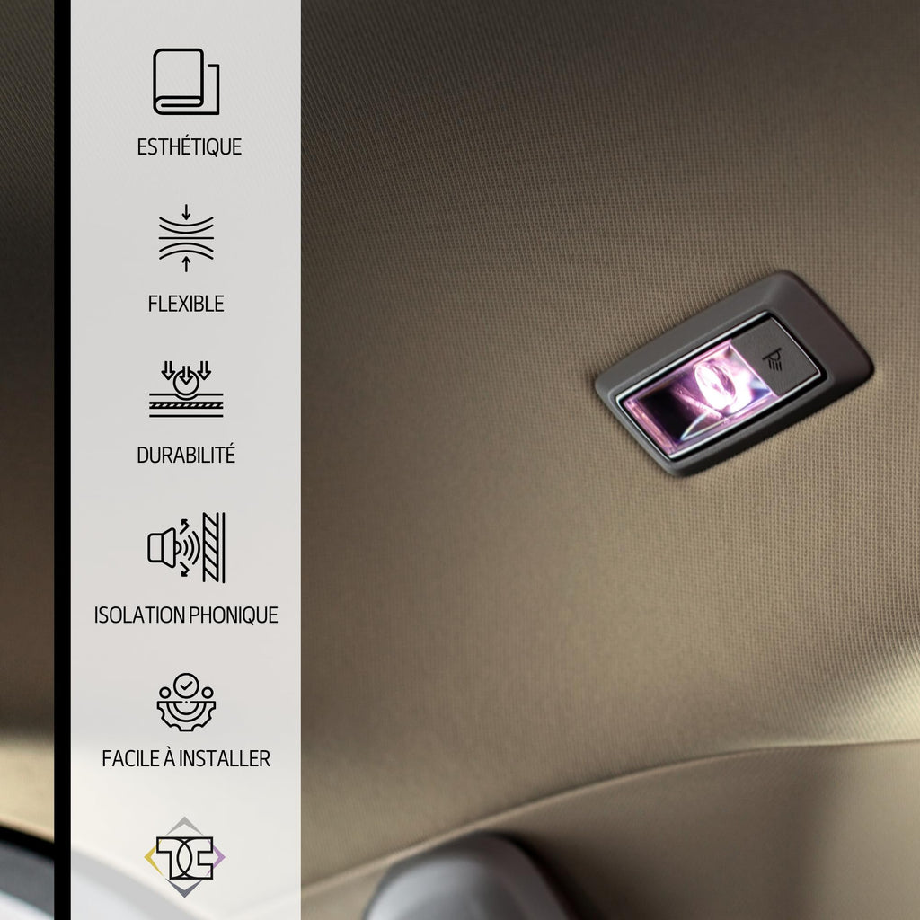 Ciel de toit de voiture, Gris clair, 300 cm x 180 cm