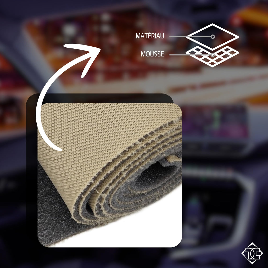 Ciel de toit de voiture, Gris clair, 300 cm x 180 cm