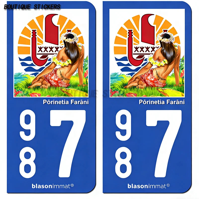 2 stickers plaque d'immatriculation française 987 Ecole Polytechnique comcarbone Ecole Polytechnique wahane Voitures motos